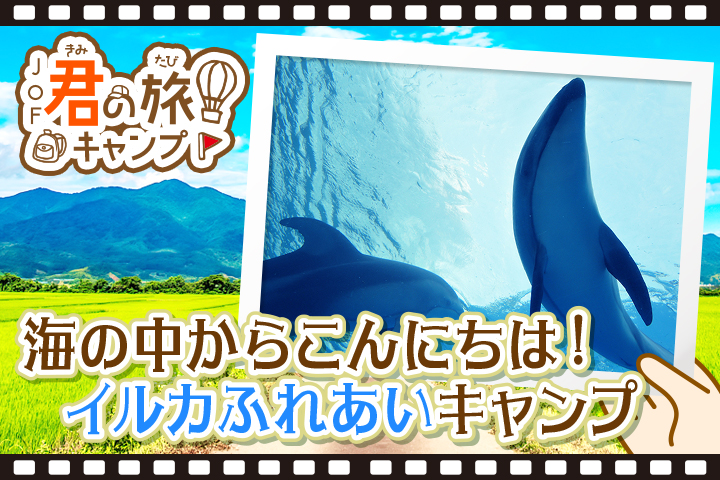 君の旅キャンプ<BR>【イルカふれあい】