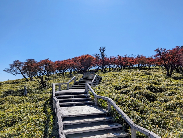 君の旅キャンプ<BR>【トレッキング】