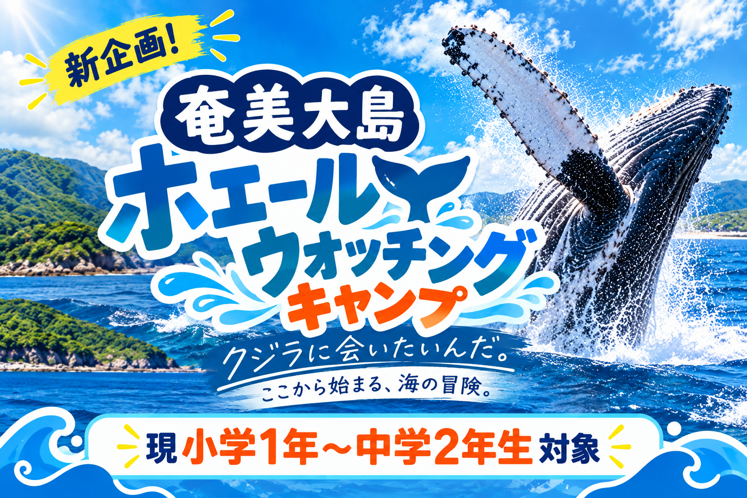 奄美大島ホエールウォッチングキャンプ