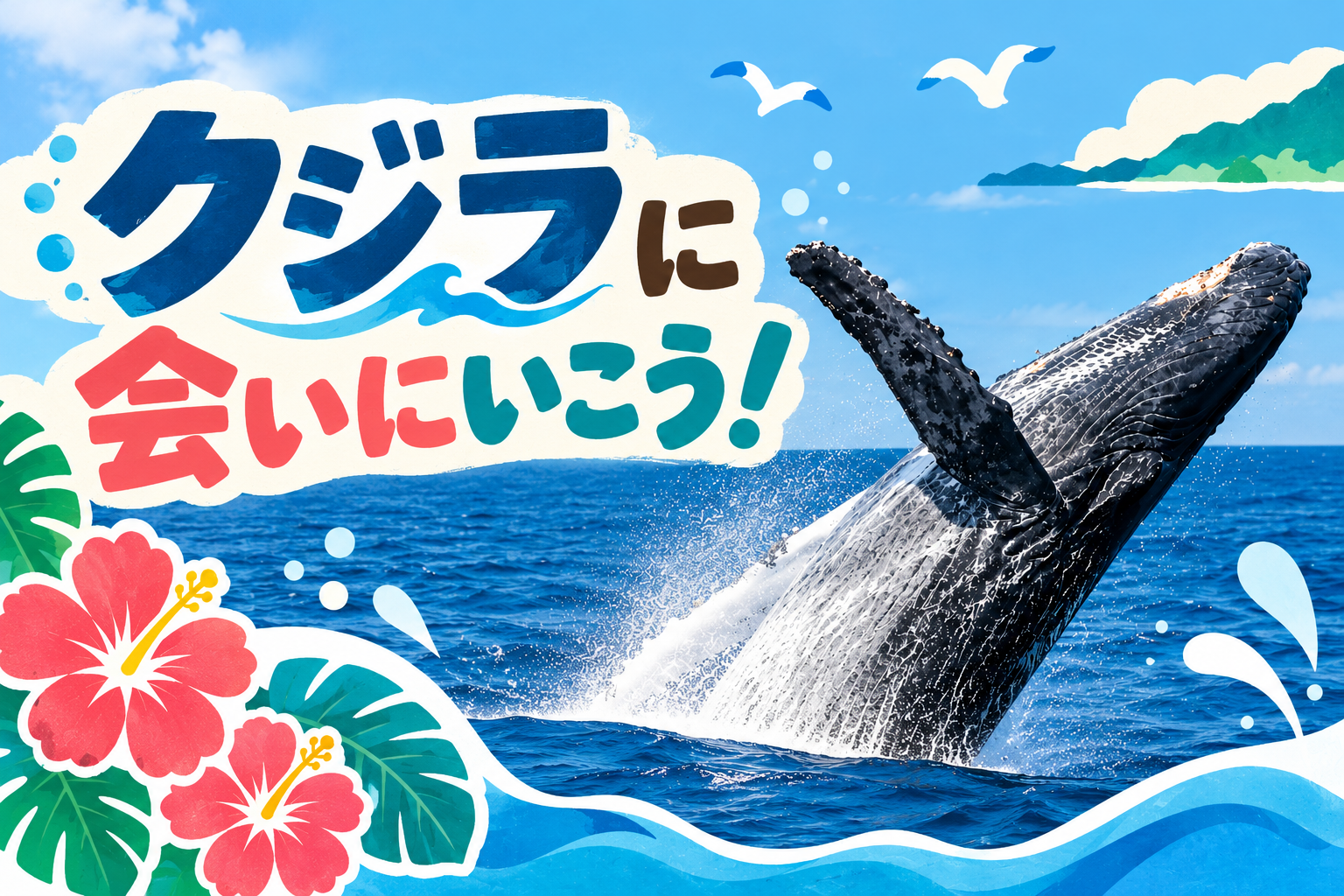 奄美大島ホエールウォッチングキャンプ