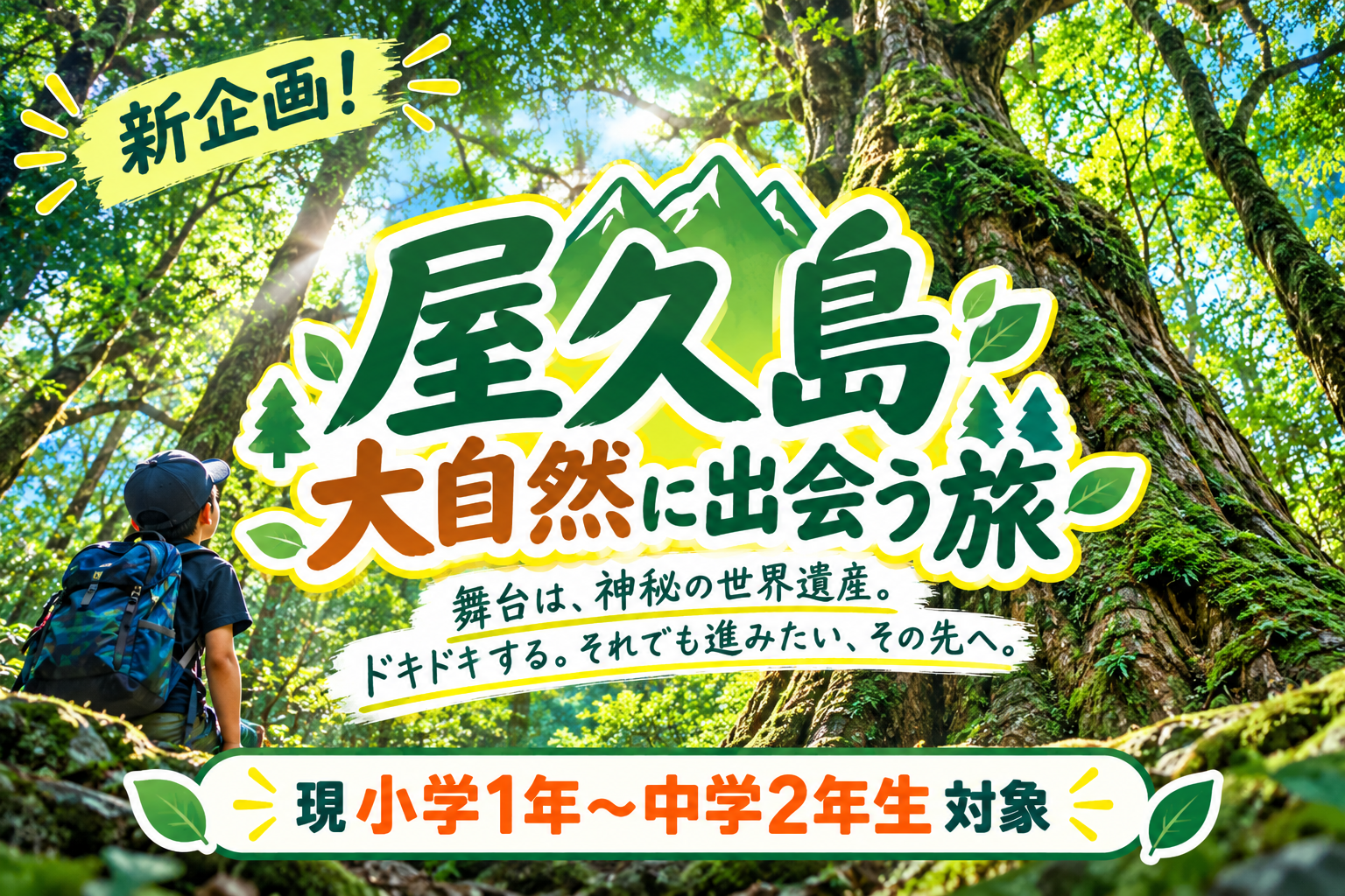 屋久島~大自然に出会う旅~