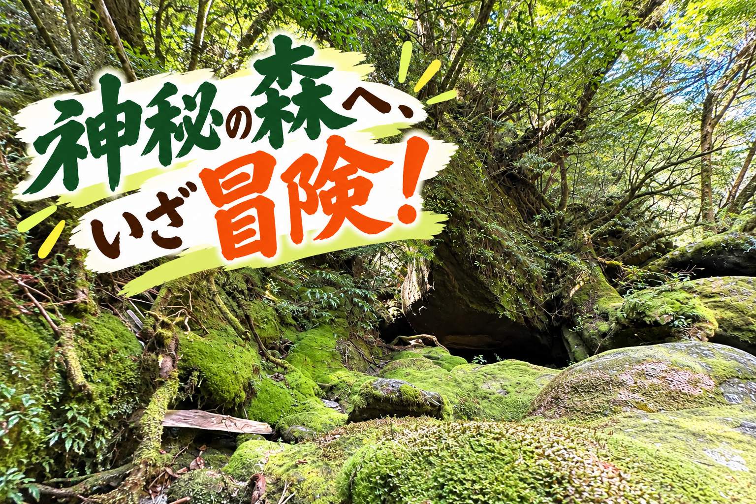屋久島~大自然に出会う旅~