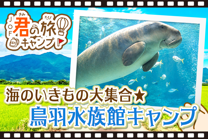 君の旅キャンプ<BR>【鳥羽水族館キャンプ】