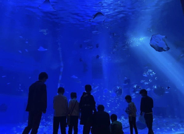 君の旅キャンプ<BR>【鳥羽水族館キャンプ】